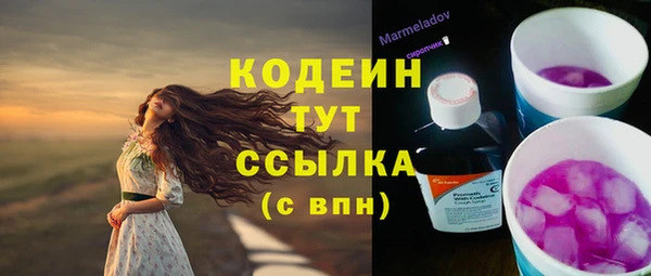 PSILOCYBIN Абаза