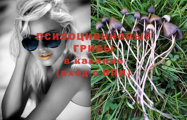 ешки Рославль